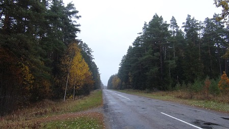 A typical tarred road between Latvian cities