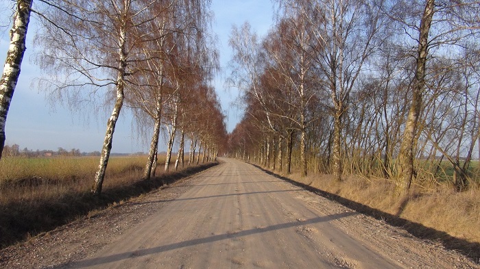 Gravel road connecting Bauske to Jelgava, both relatively large towns